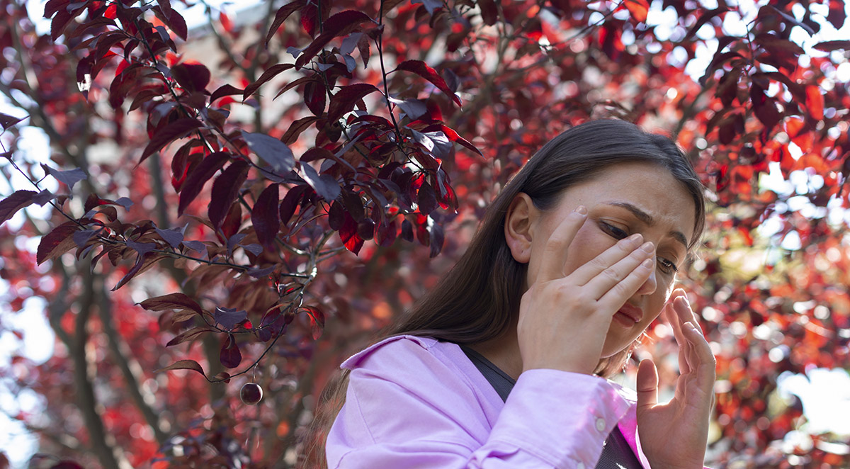 Fall Allergies and Your Eyes