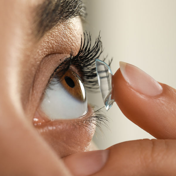 Contacts Asheville