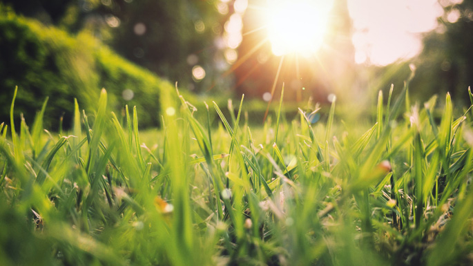 The Dangers of Spring for Your Eyes